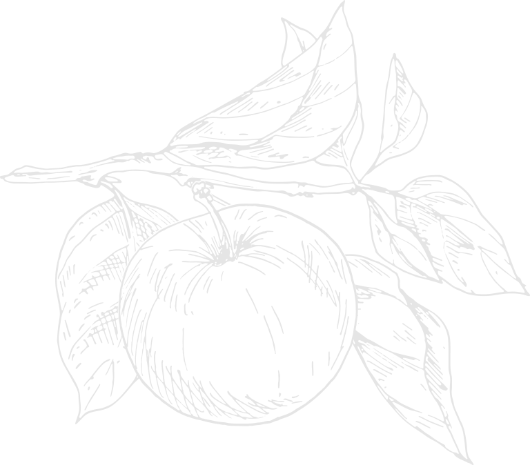 Apple Tree Branch Illustration