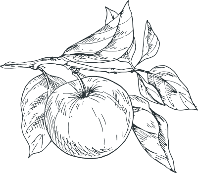 Icon: Branch with apple illustration